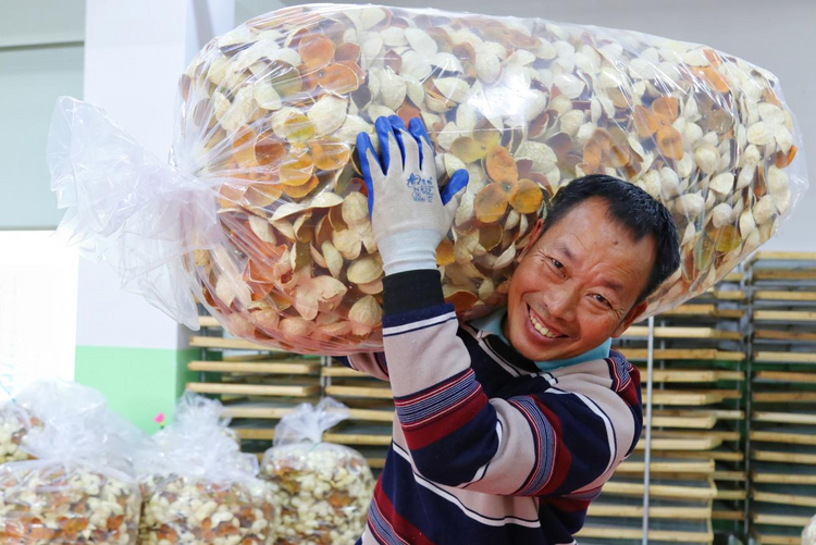 “云说壮美 钦州正当红”｜海外达人带你解锁钦州秋冬鲜味密码_fororder_17